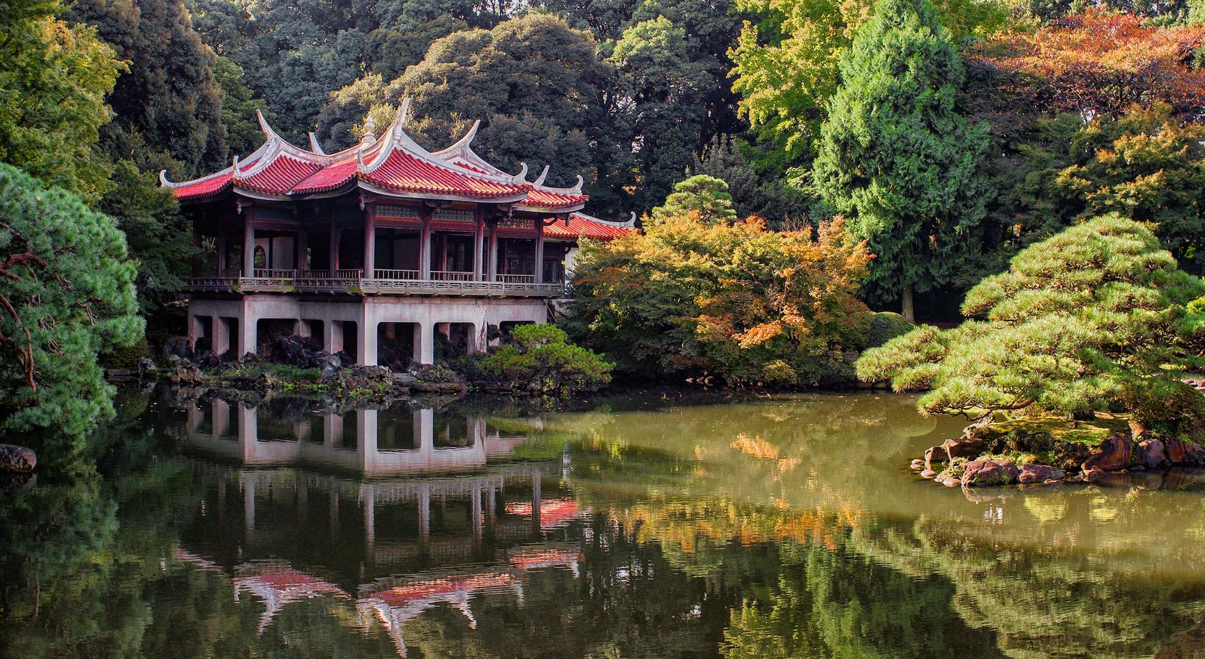 Park in Tokyo, Japan